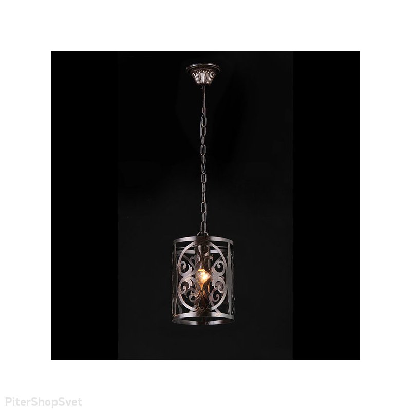 Потолочный светильник Renaissance10440/1P BROWN COPPER GD