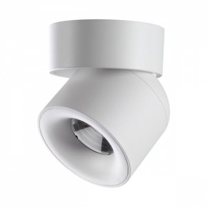 Белый накладной поворотный светильник 10Вт 4000К «GESSO»