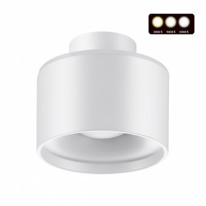 Белый накладной потолочный светильник с переключателем цветовой температуры «Giro»