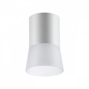 Белый накладной потолочный светильник «ELINA»