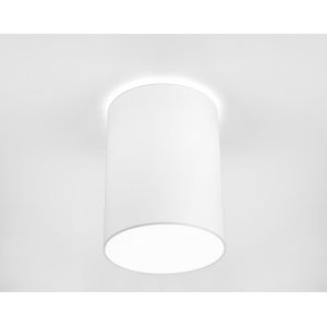 Потолочный светильник 9685 «CAMERON»