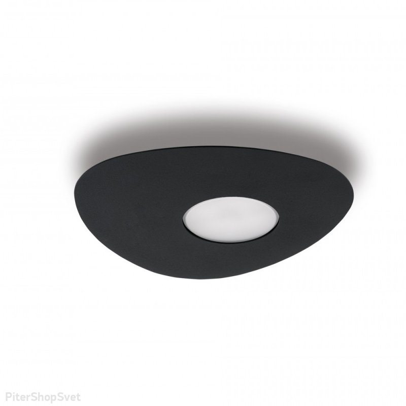 Чёрный накладной потолочный светильник «Organic» 8303