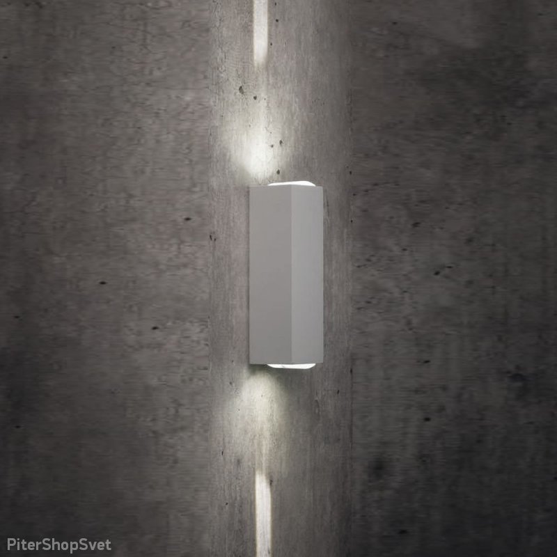Уличный настенный светильник для подсветки два луча 10 градусов «LENS LED WHITE» 9113