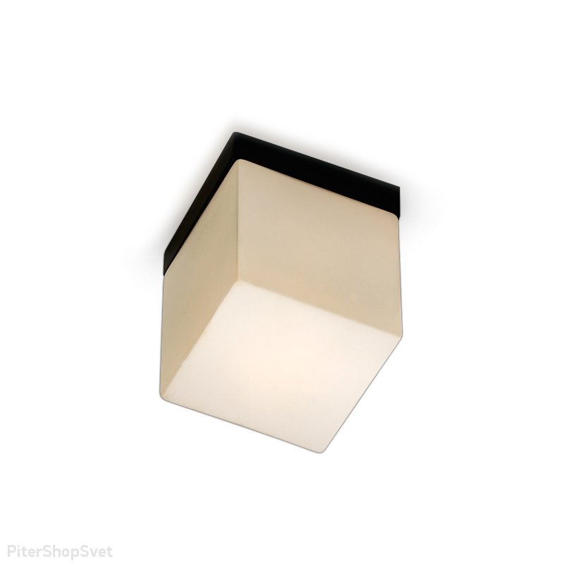 Настенно-потолочный светильник «Cubet» 2043/1C