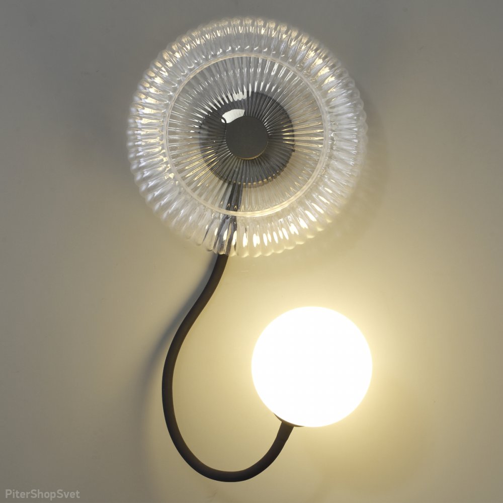 Гибкий настенный светильник с плафоном шар «Buny» 5013/1W