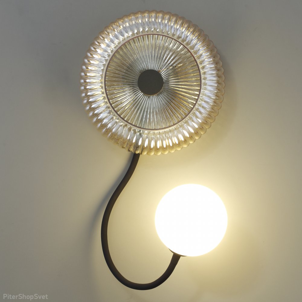 Гибкий настенный светильник с плафоном шар «Buny» 5013/1WD