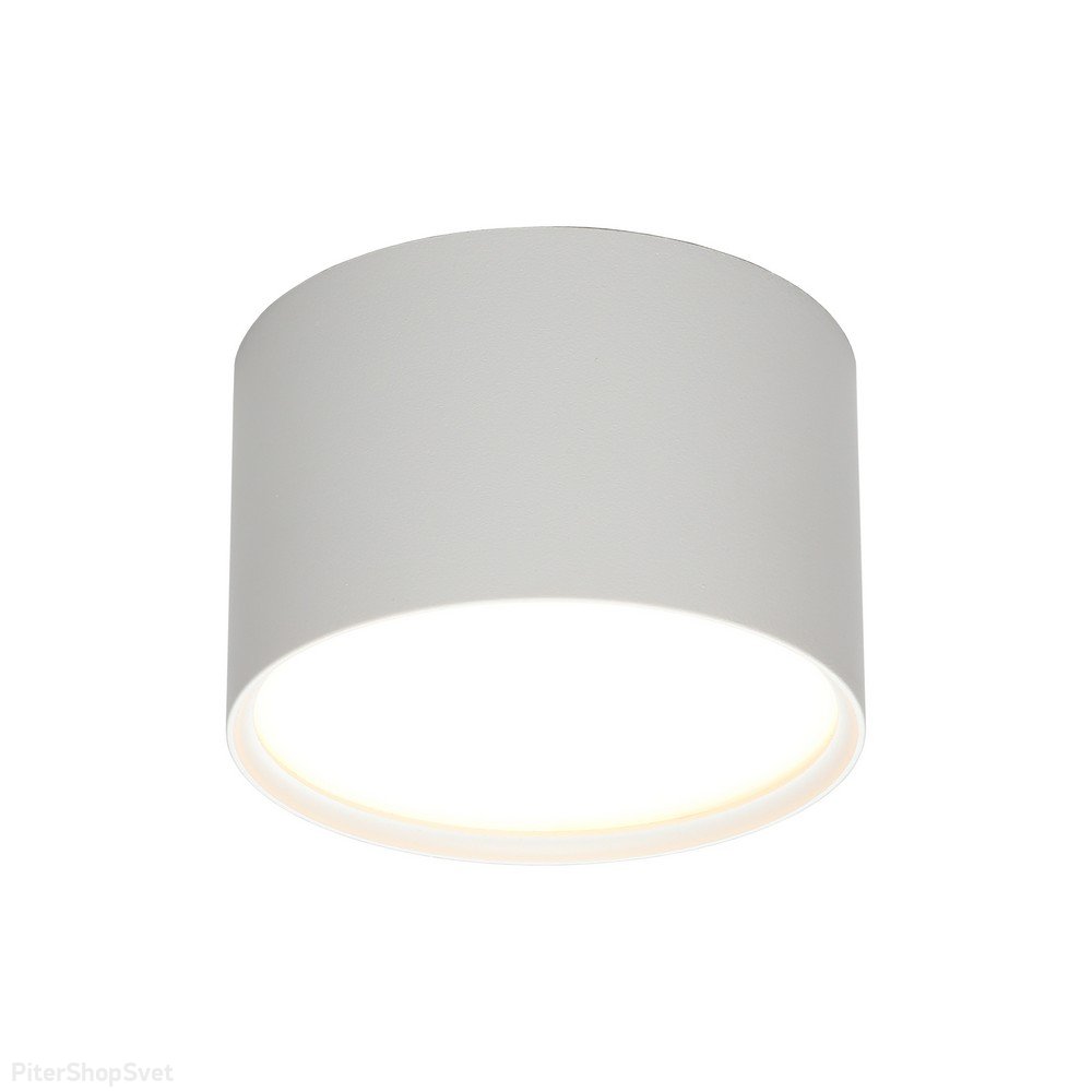 6Вт белый цилиндрический накладной светильник «Abano» OML-103309-06
