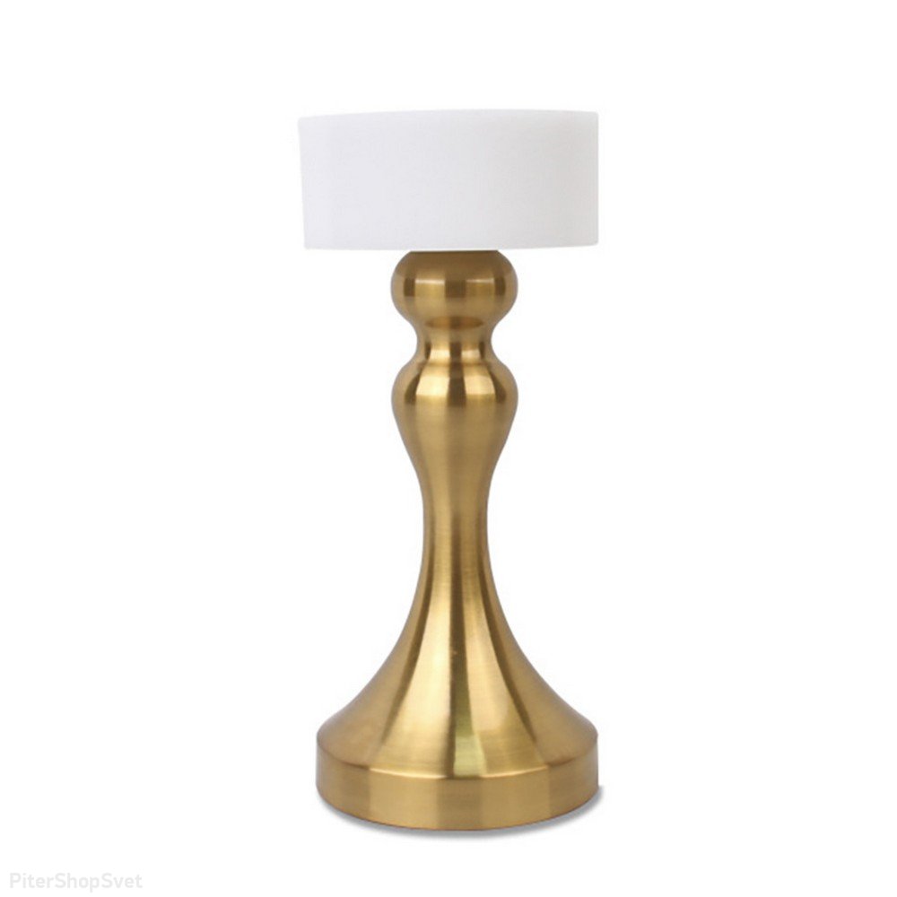 Аккумуляторная настольная лампа OML-40304-01