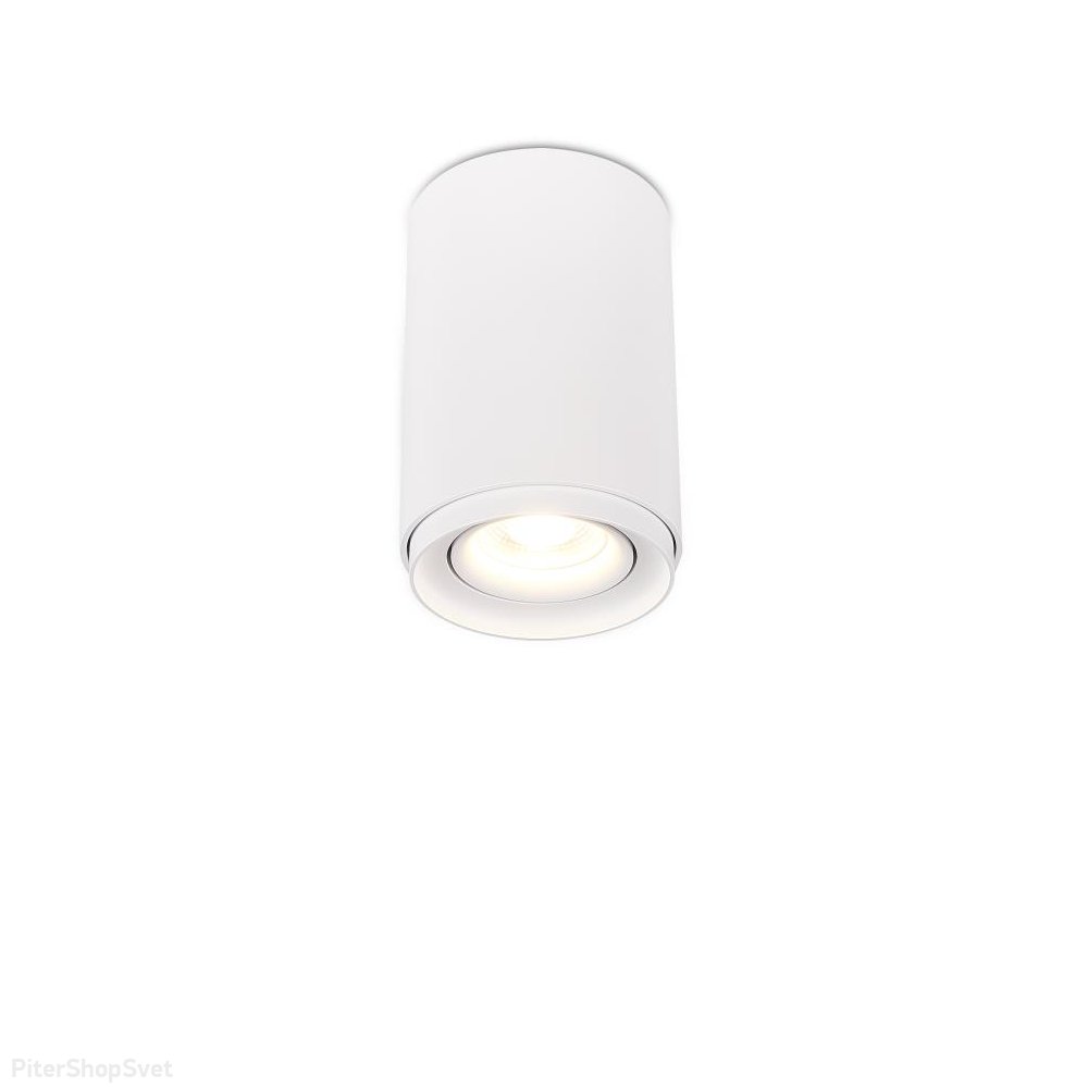Белый накладной потолочный светильник цилиндр 2065-1CLW