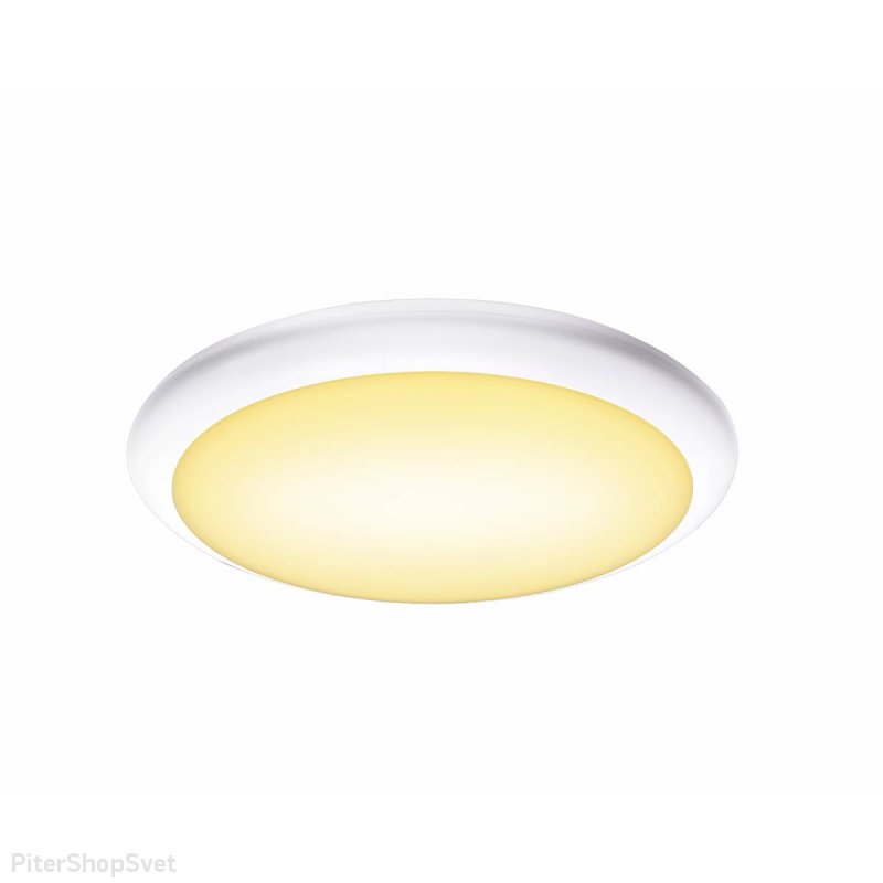 Уличный настенно-потолочный светильник «RUBA 10» 1001909