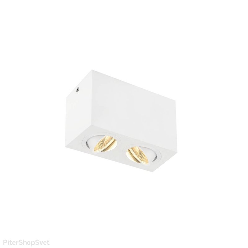 Двойной накладной поворотный светильник «TRILEDO DOUBLE LED CL» 1002008