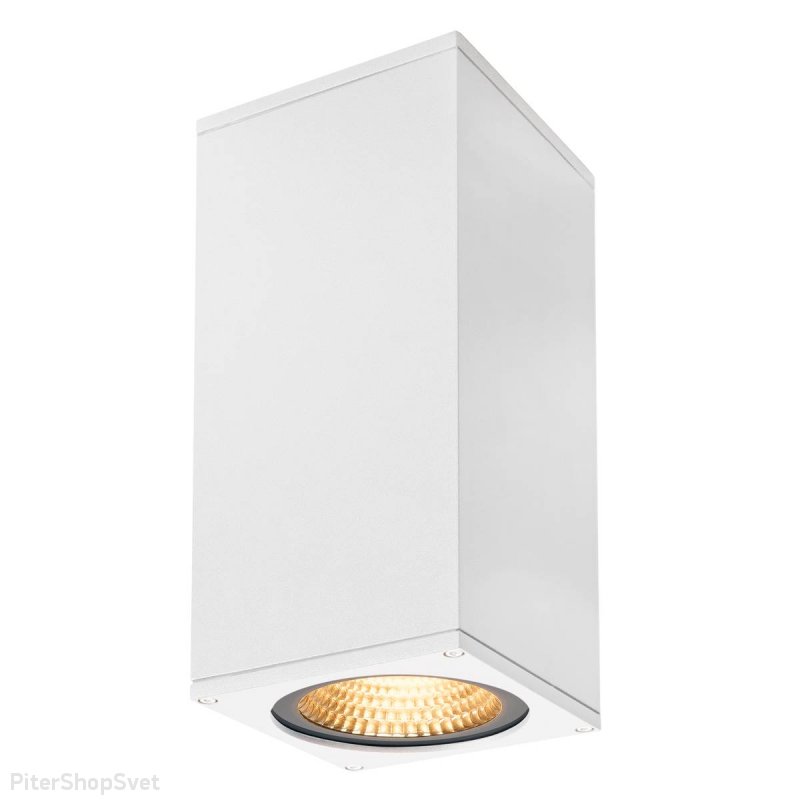 Уличный настенный светильник для подсветки в две стороны «BIG THEO LED UP-DOWN» 234501