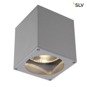 Потолочный точечный светильник 229554 «Big Theo Silver»