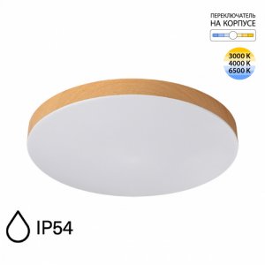 Круглый потолочный светодиодный светильник 50см 50Вт 3000/4000/6500K IP54 «GAMMA»