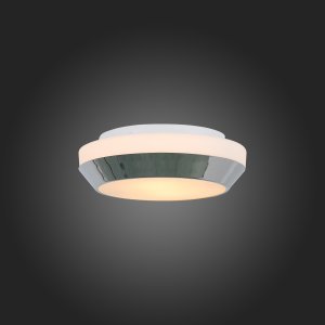 Настенно-потолочный светильник SL469.502.02 «BAGNO»