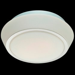 Настенно-потолочный светильник SL496.502.01 BAGNO