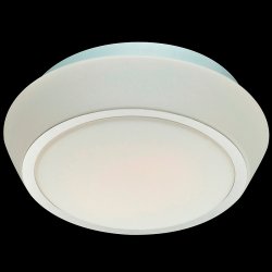 Настенно-потолочный светильник SL496.502.03 BAGNO