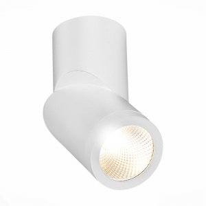 Белый накладной поворотный светильник 10Вт 3000К