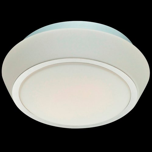 Настенно-потолочный светильник SL496.502.01 BAGNO St Luce