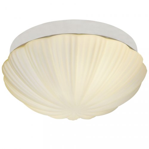 Настенно-потолочный светильник для ванной SL495.502.02 BAGNO St Luce