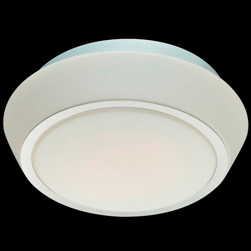Настенно-потолочный светильник SL496.502.03 BAGNO St Luce