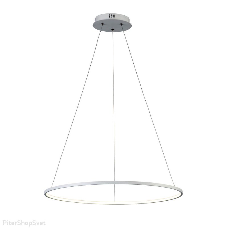 Светодиодный подвесной светильник 60см 16Вт «Erto» SL904.513.01