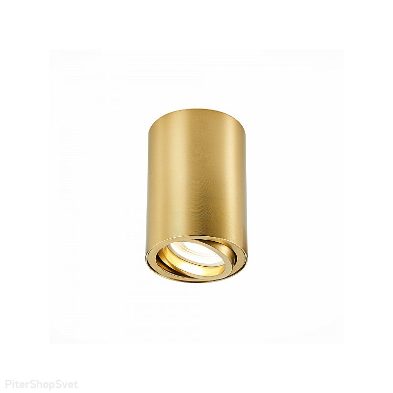 Золотистый накладной потолочный светильник с поворотной лампой «ST108» .207.01
