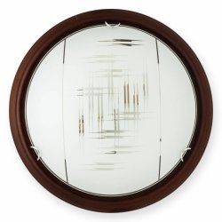 Настенно-потолочный светильник TL9153Y-02PO ZIER