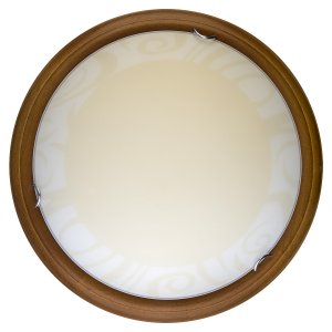 Светодиодный настенно-потолочный светильник TL9620Y-00OA «Ginger»