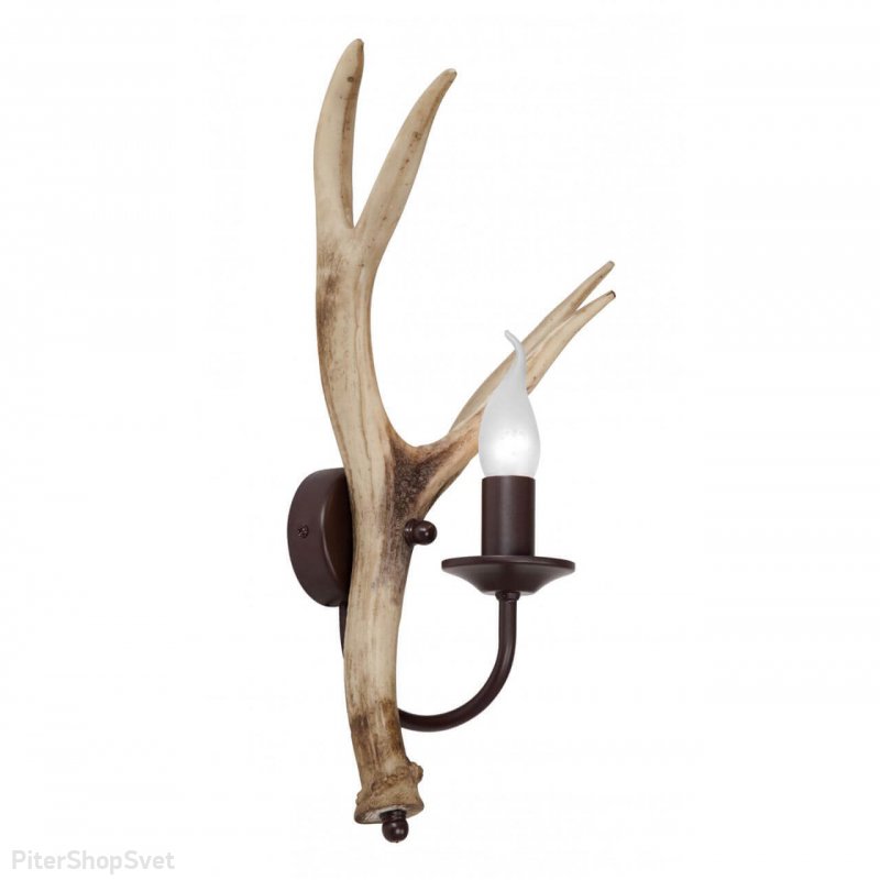 Настенное бра с рогами V1493/1A