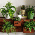Светильники для растений серии / коллекции