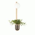 Настенные светильники для растений