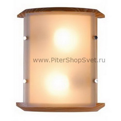 настенно-потолочный светильник 41308-2 Edison