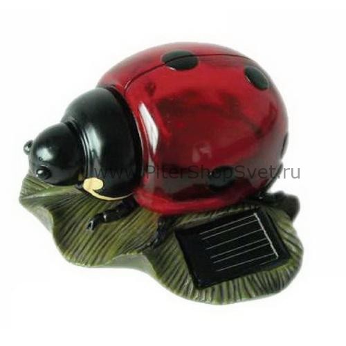 33320 Solar Globo