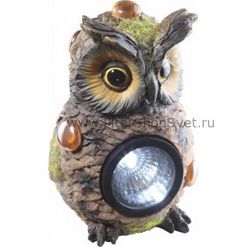 33376 SOLAR Globo