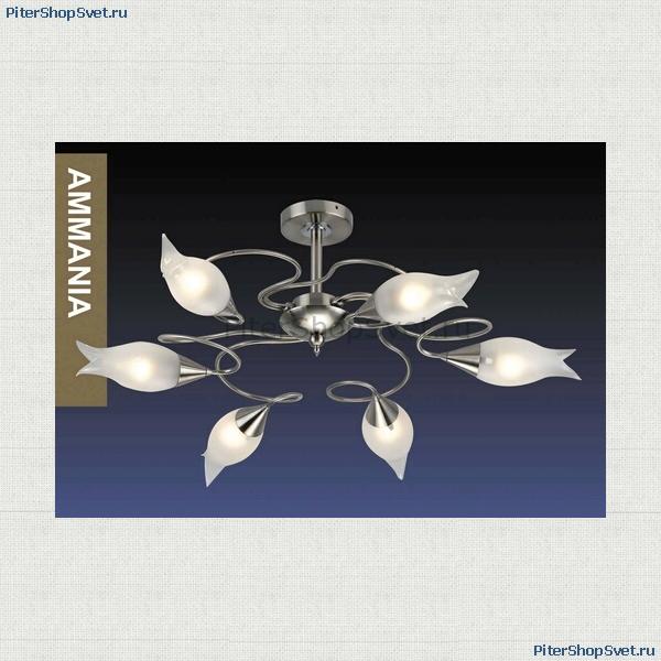 1318/6 AMMANIA nickel Odeon Light