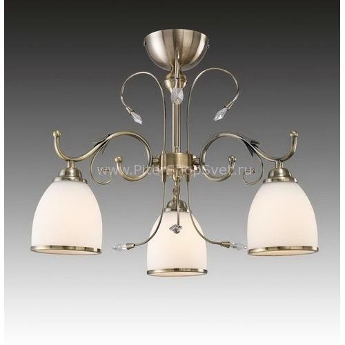 MA02640C/003 Bronze Nives Bronze Brizzi
