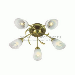 Потолочная люстра 256016105 Флора