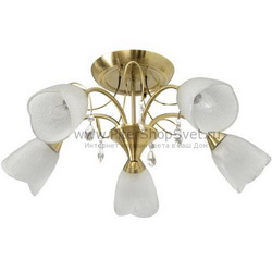 Потолочная люстра 256017205 Флора