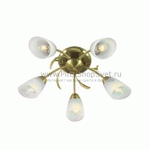 256016105 Флора MW-Light