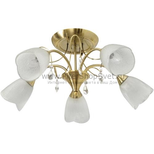 Потолочная люстра 256017205 Флора MW-Light