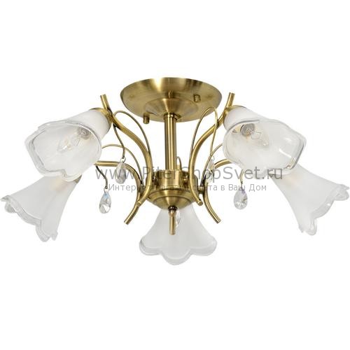 Потолочная люстра 256017605 Флора MW-Light