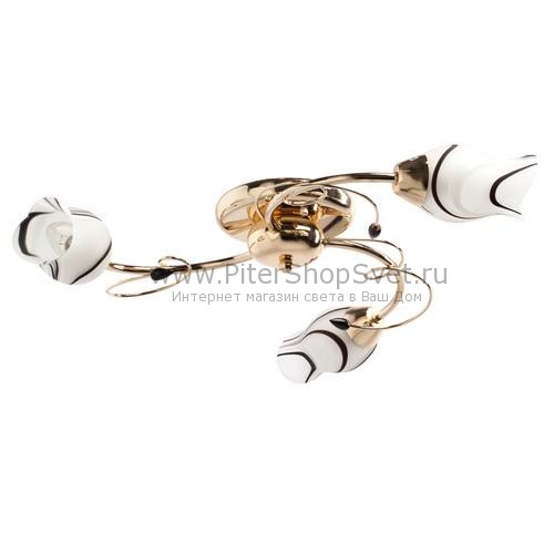 256017703 Флора MW-LIGHT