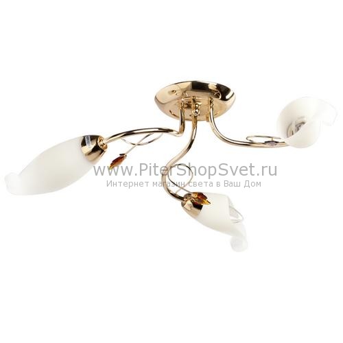 256017903 Флора MW-LIGHT