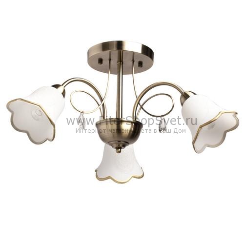 Люстра Флора 256018603