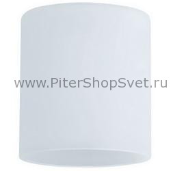 стекляный плафон для светильников 60004 Zyli